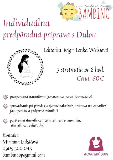 Príprava pôrodného miesta pre mačku