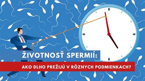 Infografika o životnosti spermií v rôznych podmienkach