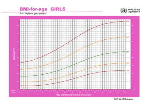 Grafické znázornenie percentilových grafov BMI pre deti