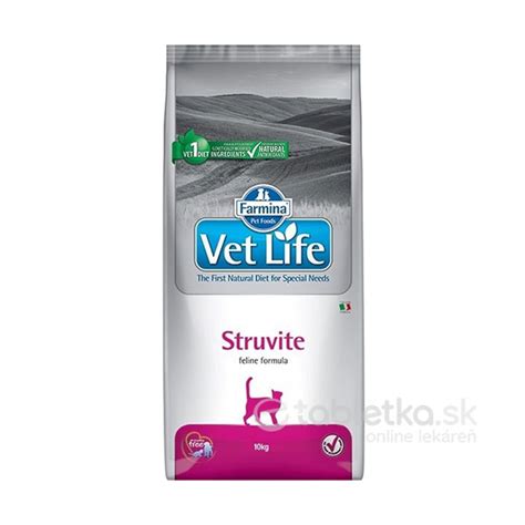 Špeciálna výživa pre gravidné mačky