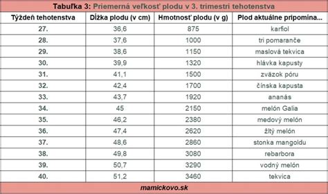 Tabuľka veľkosti plodu podľa týždňov - 3. trimester