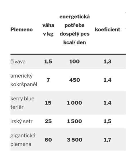 Výživa gravidnej feny