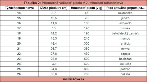 Grafické znázornenie vývoja plodu v druhom trimestri