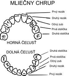 Vývoj mliečnych zubov u detí