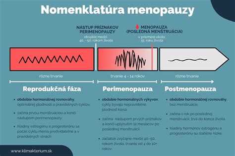 schematické znázornenie ženského reprodukčného systému