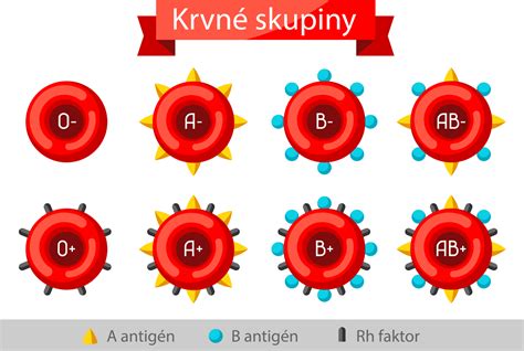 Schéma prvej dedičskej skupiny