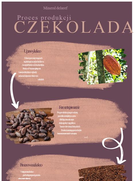 Infografika: Proces odberu vajíčok pri IVF