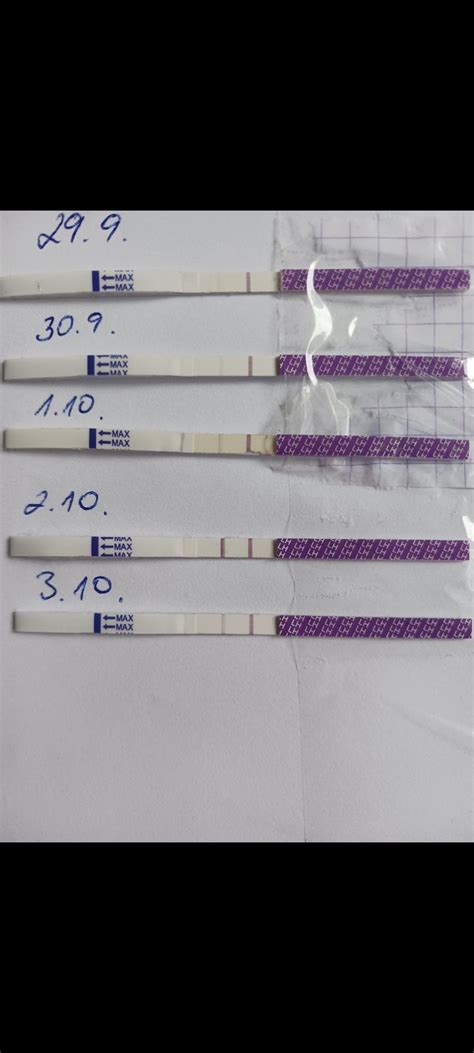 obrázok ovulačných testovacích prúžkov s rôznymi výsledkami