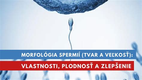 rozdiely v kvalite spermií