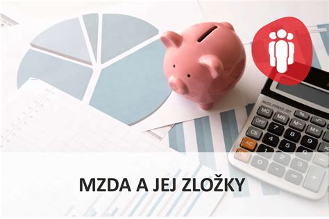 Grafika zobrazujúca priemernú mzdu profesionálneho rodiča a jej zložky