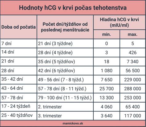 Časová os detekcie hCG v krvi a moči