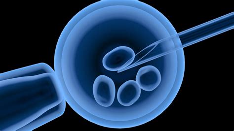 Vizualizácia procesu IVF