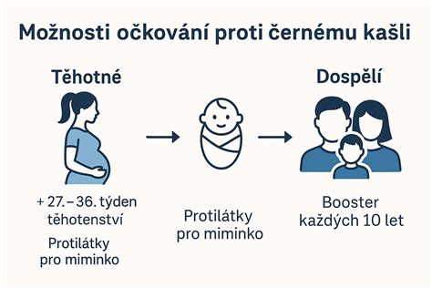 Infografika porovnávajúca možnosti materskej pre zamestnané ženy a doktorandky