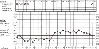 Graf bazálnej telesnej teploty počas menštruačného cyklu a tehotenstva