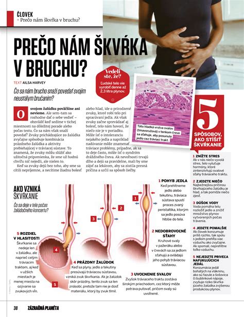 Ilustračná fotografia tehotnej ženy s rukami na bruchu v oblasti pupka