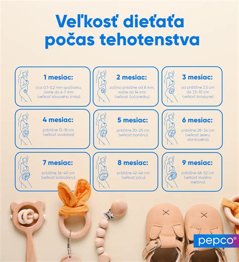 Infografika - chromozómy určujúce pohlavie dieťaťa