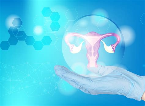 Vizualizácia transferu embrya do maternice