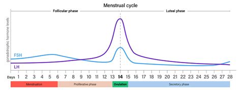 Grafické znázornenie hladín FSH a LH pri rôznych typoch azoospermie