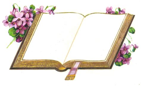 Ilustrácia otvorenej knihy s lúčmi svetla