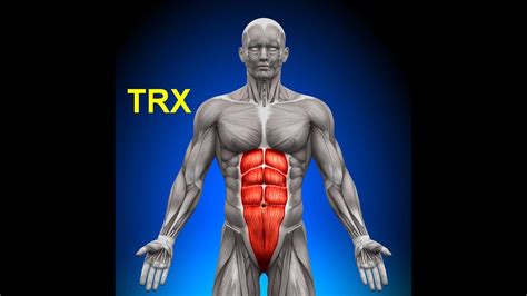 Cviky na brušné svaly po pôrode