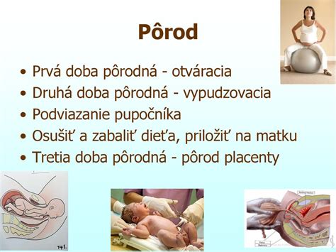 Ilustrácia pupočníka novorodenca