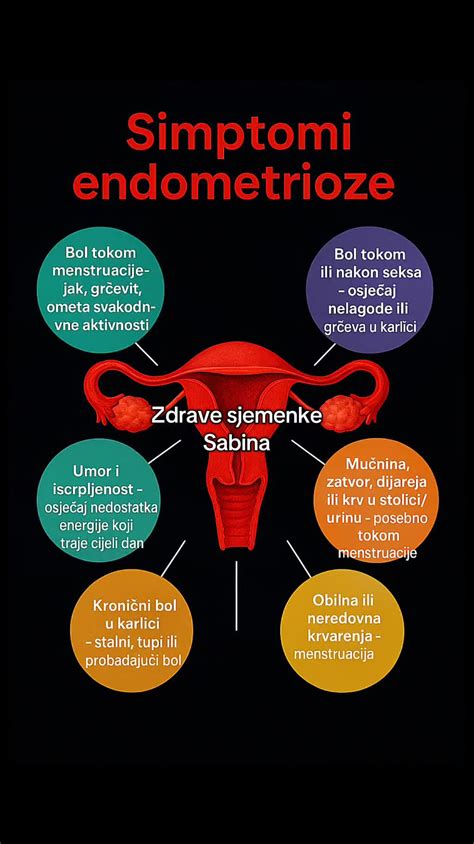 štruktúra maternice a očistky