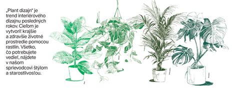 Ilustrácia rôznych druhov ochutených vôd