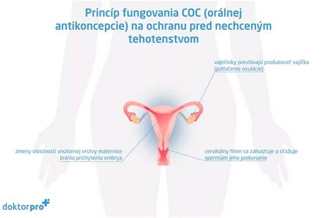 Infografika znázorňujúca princíp fungovania nehormonálnej antikoncepcie