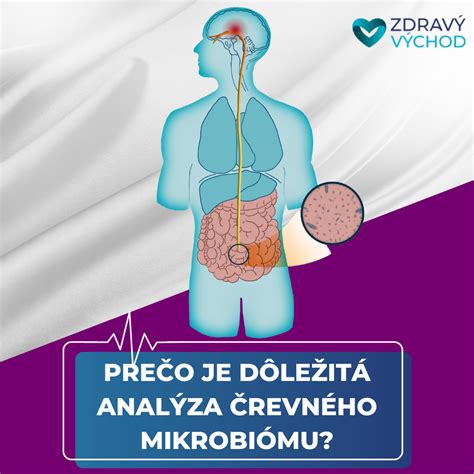 Najčastejšie spúšťače žihľavky