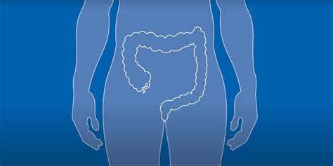 Ilustrácia anatómii konečníka