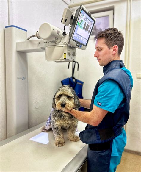 Obrázok zobrazujúci zubára vykonávajúceho RTG vyšetrenie s ochrannou vestou