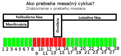Grafické znázornenie menštruačného cyklu a ovulácie