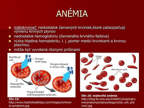 Schéma vzniku bilirubínu z rozpadu červených krviniek
