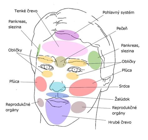 Mapa tela ukazujúca šírenie žltačky od tváre po končatiny
