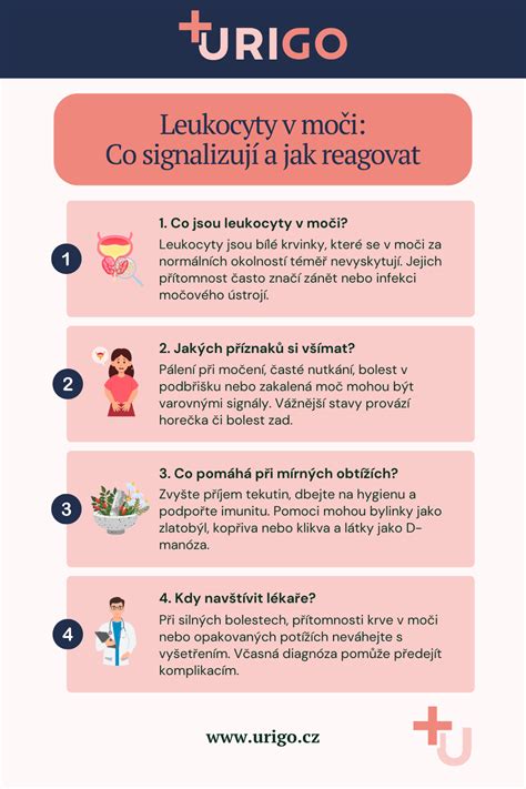 Infografika: Dôvody detskej agresivity a ako reagovať