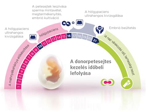 Infografika porovnávajúca IVF a restoratívnu medicínu
