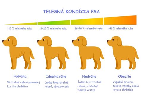 Grafické znázornenie trvania gravidity psa