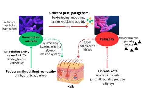 Matka drží novorodenca koža na kožu