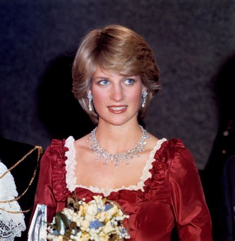 Princezná Diana ukazuje novorodeného Williama verejnosti