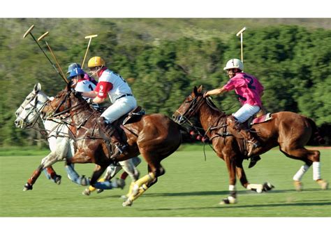 Športové konské pólo