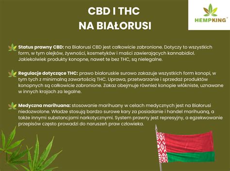Infografika o vplyve THC na telo