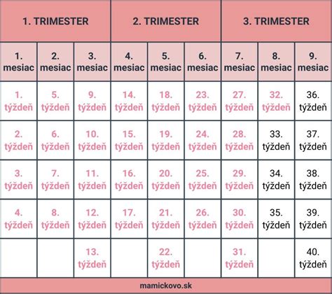 Schéma úkonov po narodení dieťaťa