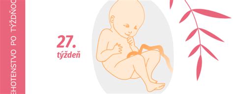 Ilustrácia tretieho trimestra tehotenstva s hlienovou zátkou