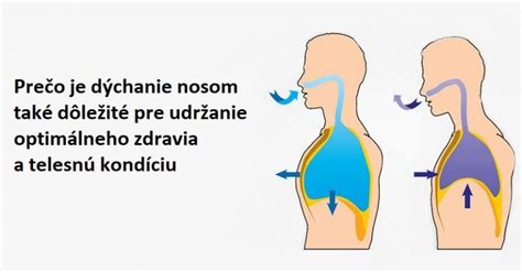 Infografika o správnom dýchaní nosom