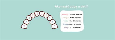 Štádiá prerezávania mliečnych zubov