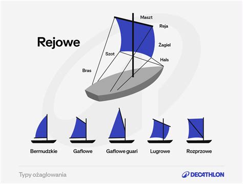 Infografika porovnávajúca rôzne typy cestovných postieľok