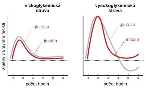 Grafické znázornenie hladiny urey v krvi