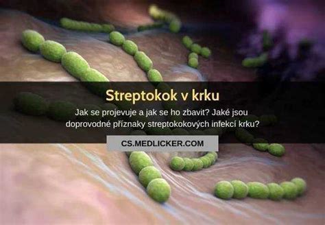 Ilustrácia baktérií streptokoka a stafylokoka