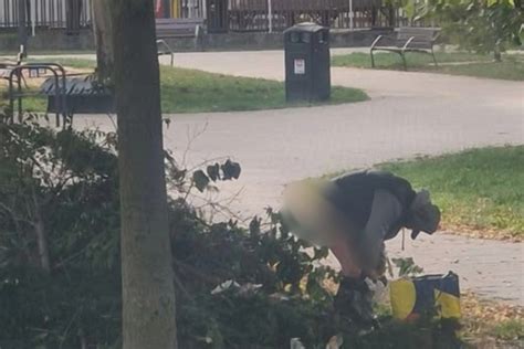 Deti sa hrajú v jesennom parku