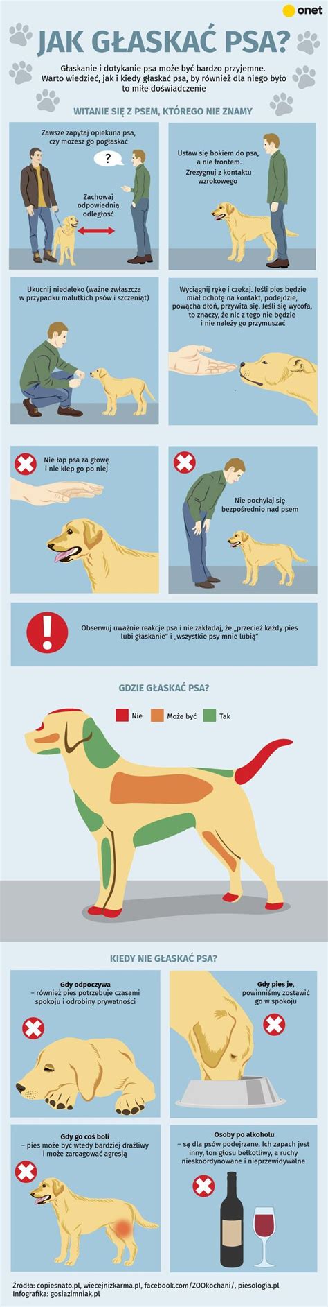 Infografika o benefitoch psa pre rodinu